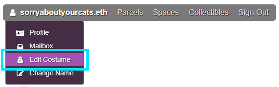 edit-costume.png